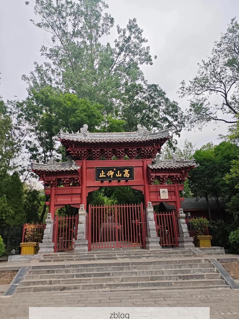 【登封：嵩山屏障下的防疫挑战与应对】