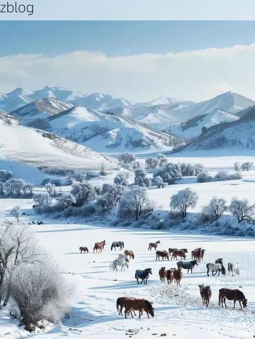 铁力市：小兴安岭屏障下的零感染坚守_72458