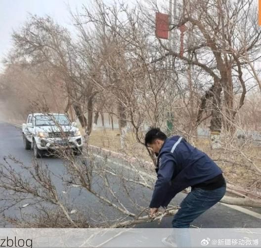 托克逊：风区屏障下的零感染坚守_27389