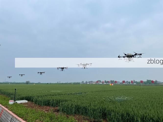 宝丰：中原腹地交通枢纽的防疫承压与破局