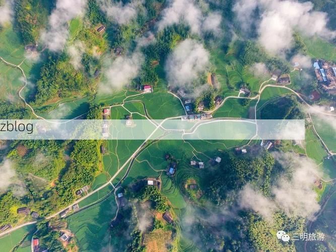 尤溪:闽中山区屏障下的低感染样本解析