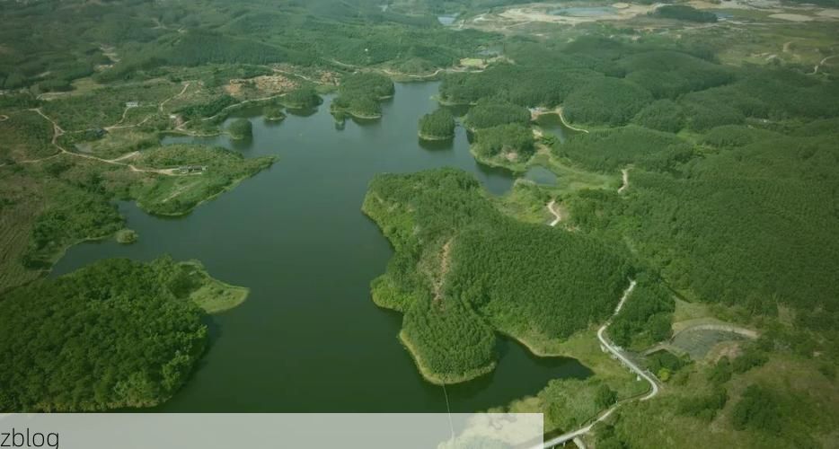 江南区：水网密布与交通枢纽下的疫情承压区