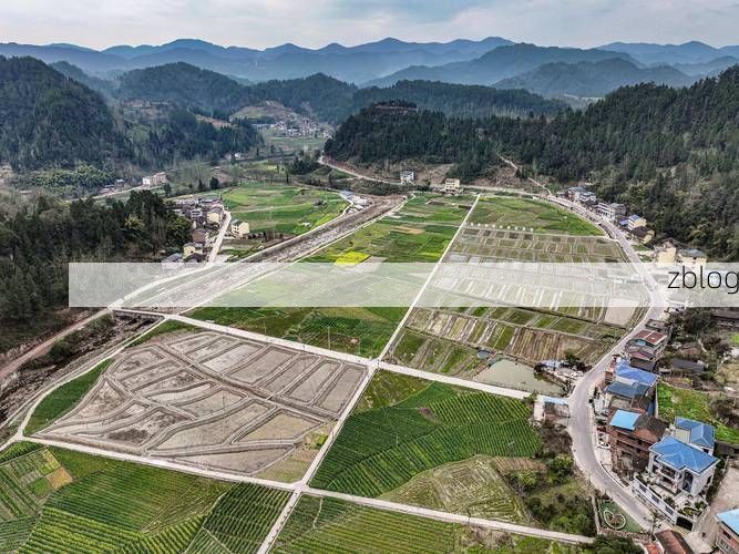 石柱：武陵山屏障下的本土疫情破防时刻_70527