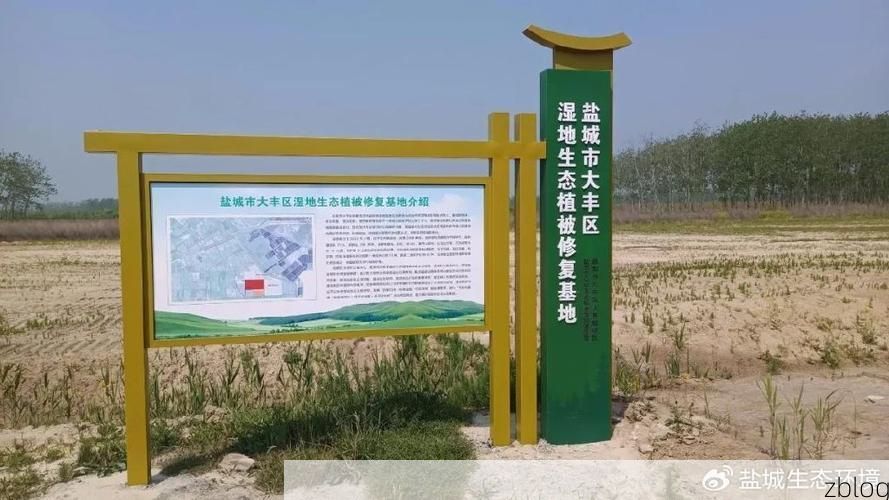 沿海湿地屏障下的防疫坚守：大丰区疫情观察