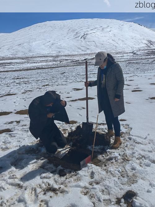 合作市：高原门户的防疫坚守与输入压力
