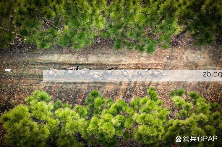 景谷疫情透视：热带雨林屏障下的防控挑战