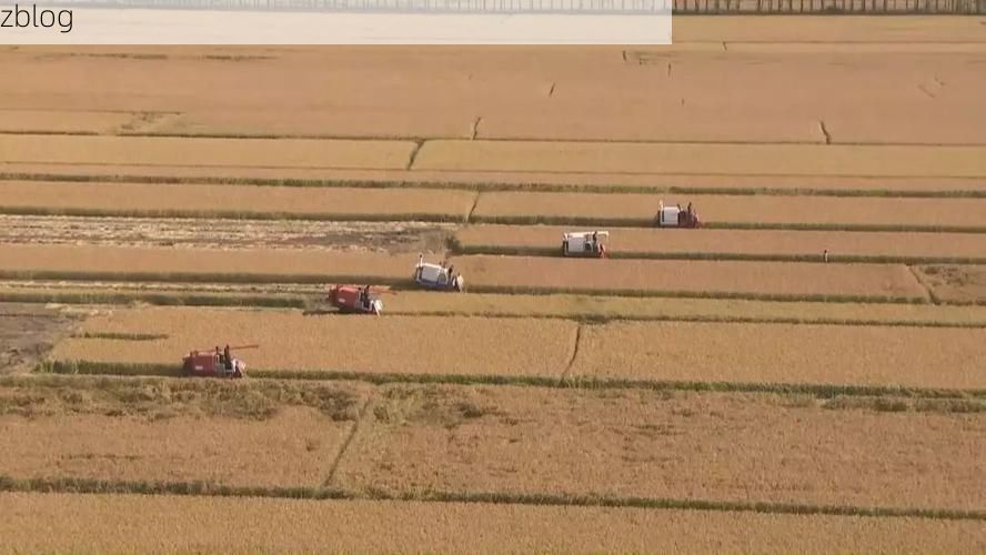 巴彦：松嫩平原腹地的疫情阻击战