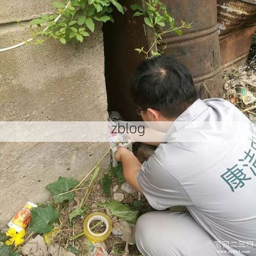 枞阳：长江水道旁的县域防疫样本