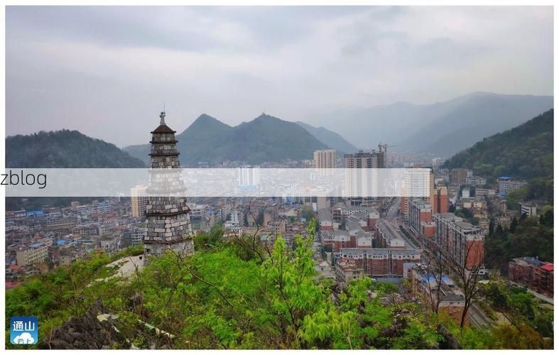 通山：鄂南林海屏障下的低感染样本观察