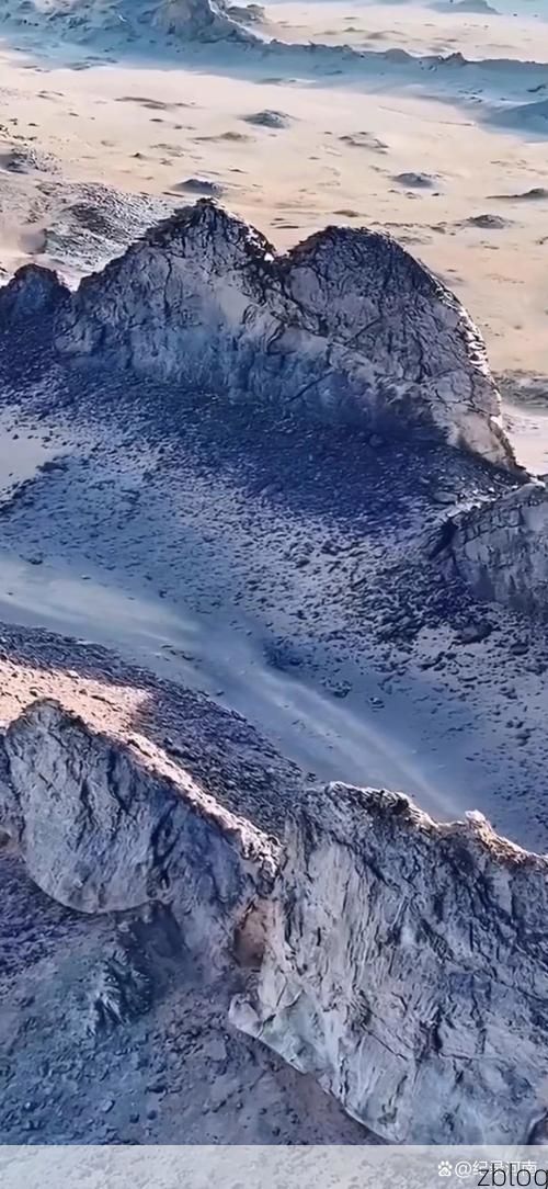 黑水：高原屏障下的零感染愿景_76755