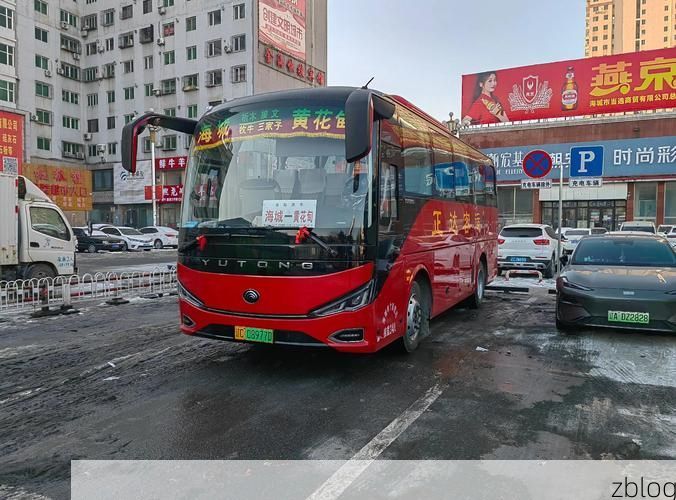 2022年3月25日岫岩满族自治县新增确诊病例情况_19994