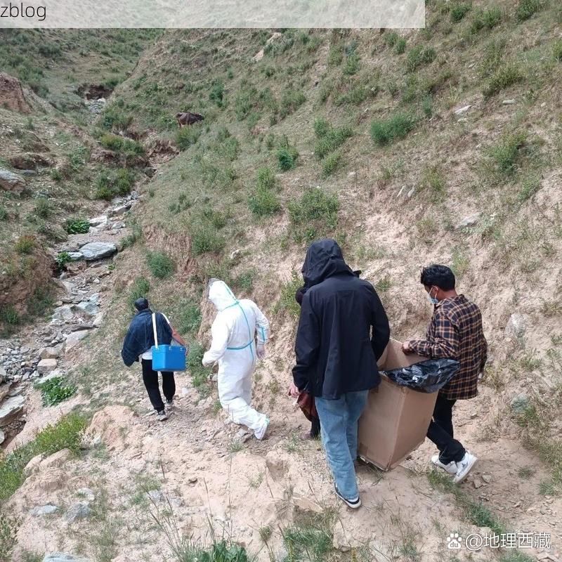 随州样本：江汉平原腹地的疫情防御与破防时刻