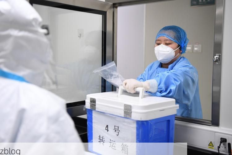 31省新增本土12例(31省新增本土确诊12例)，齐河县疫情引关注