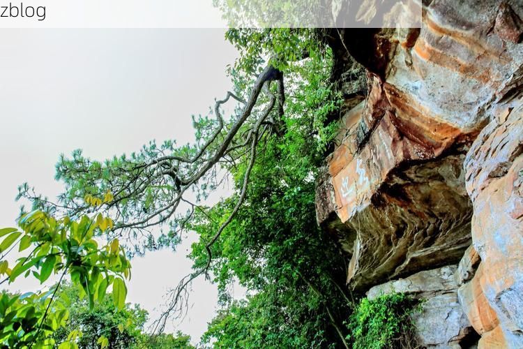 峨山：滇中林海屏障下的低感染样本解析