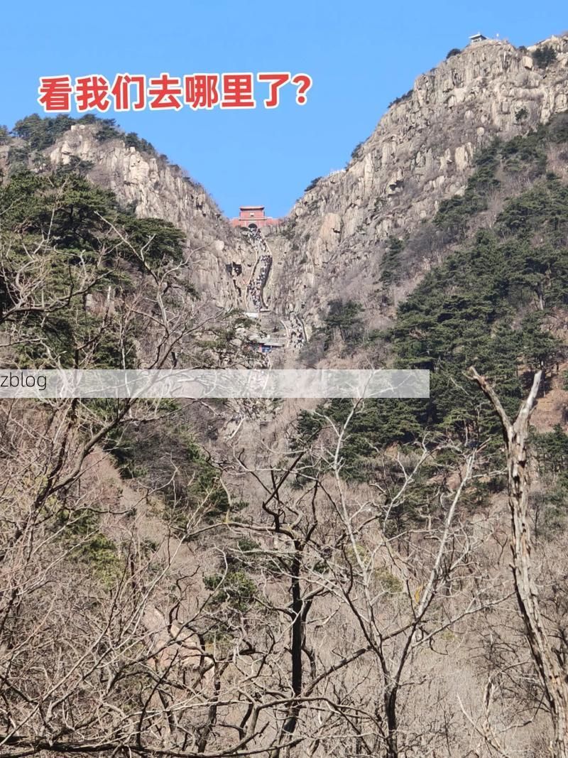 岱岳区：泰山屏障下的本土疫情破防与围堵