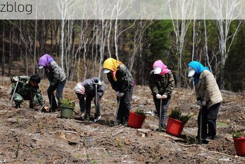 围场：塞罕坝屏障下的零感染坚守之谜