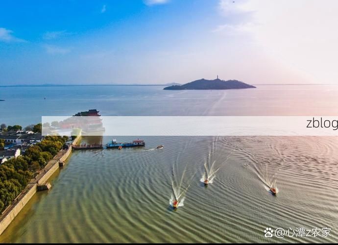 庐江：环巢湖地理单元下的疫情破防与围堵