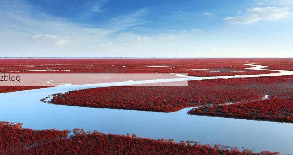 大洼：辽河三角洲腹地的防疫地理学_59072