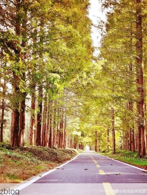 东海县：黄海之滨的防疫坚守与地理屏障解析