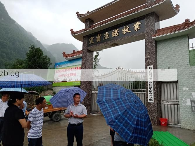 长宁县新增1例无症状感染者  长宁县疫情防控最新通报_73793