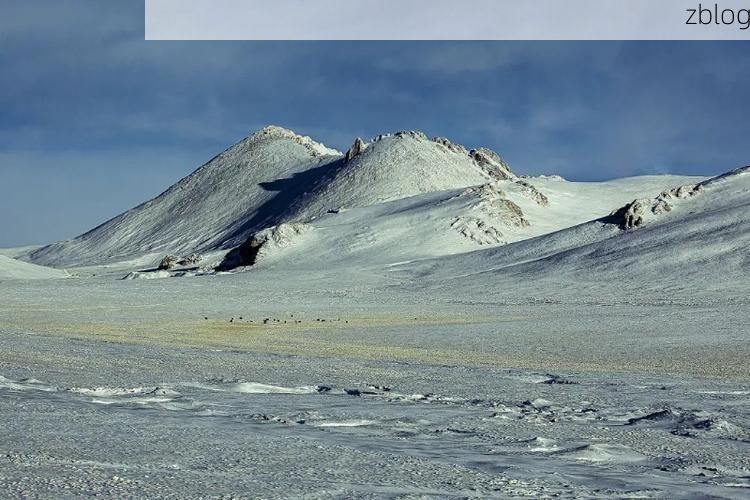 高原屏障下的零感染坚守：囊谦县防疫地理学观察_29981