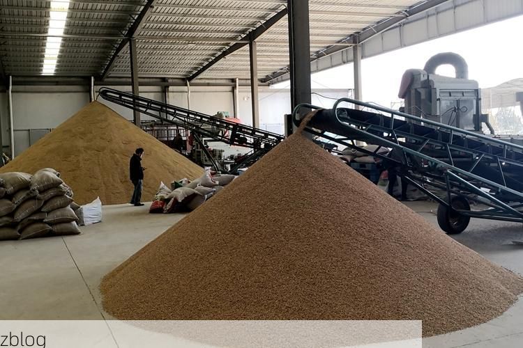 粤东生态屏障下的防疫样本：丰顺县如何构筑零感染防线？