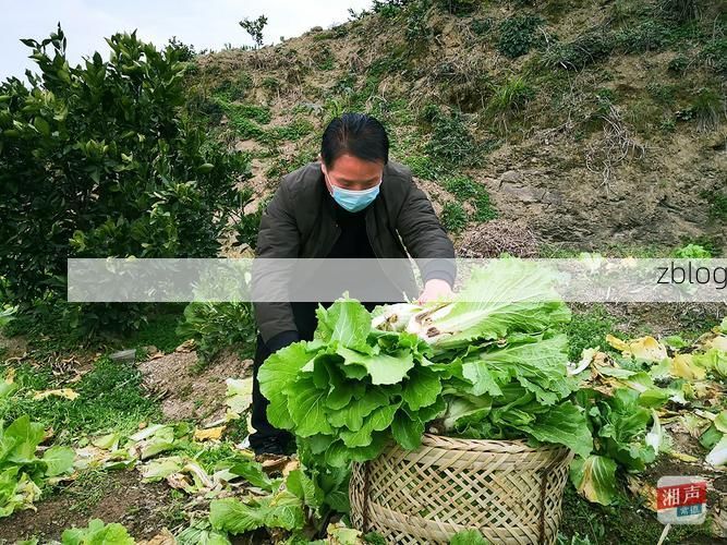 石门新增1例无症状感染者  石门县疫情防控最新通报_26296