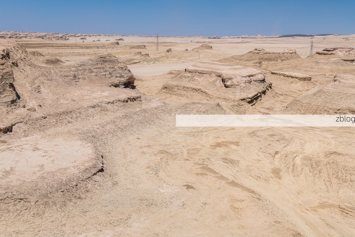 盐池县：毛乌素沙地边缘的零感染坚守_22626