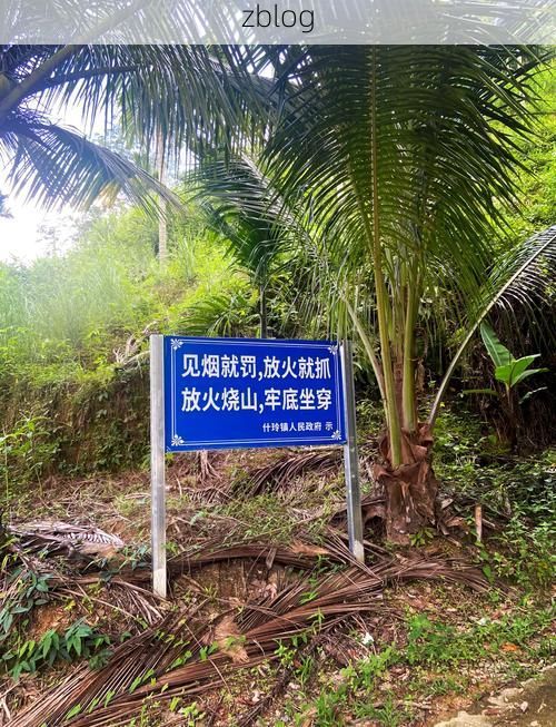 万源屏障：大巴山腹地的零感染坚守与物理防线_31213