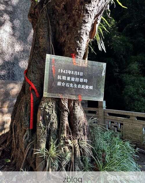 保亭：热带雨林屏障下的零感染坚守_38639