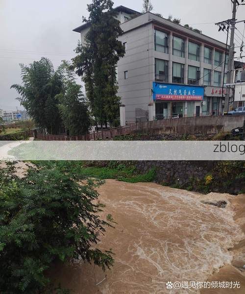 三台县：四川盆地腹地的疫情防波堤