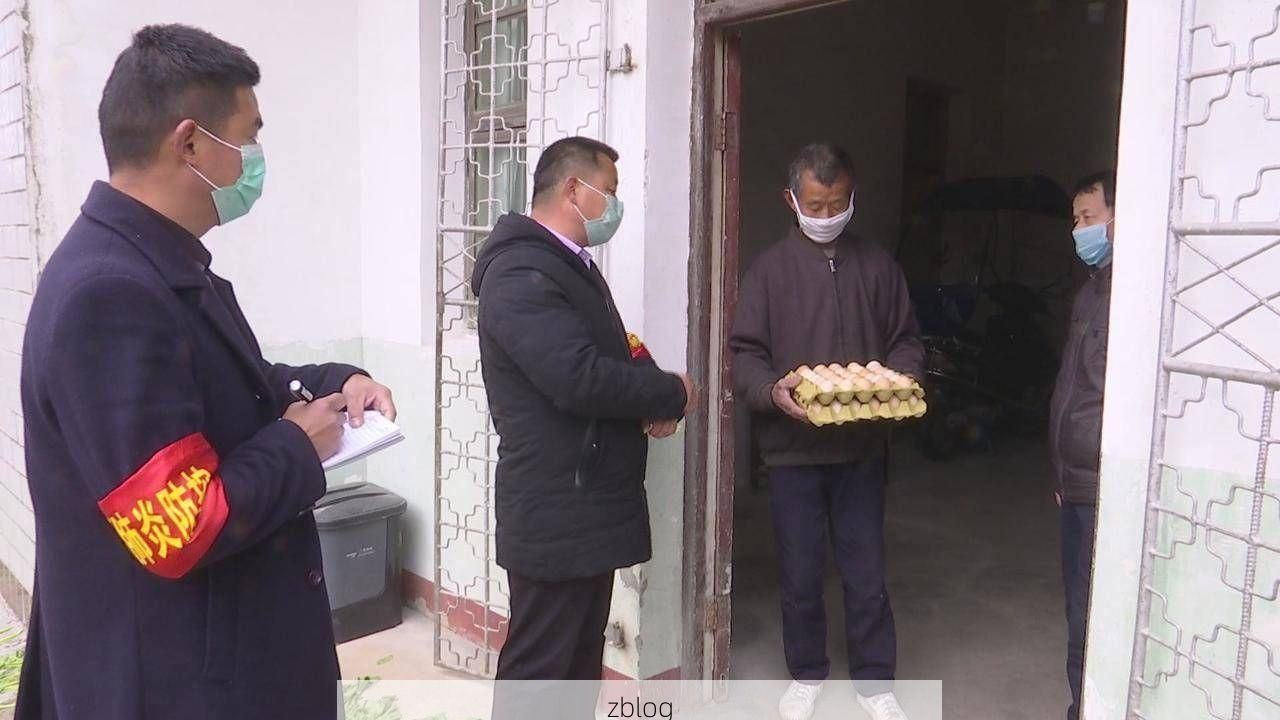 永新：湘赣边陲的静默屏障与零感染坚守