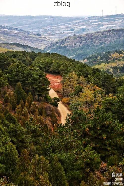 屯留：上党盆地交通枢纽的疫情破防与围堵_43364