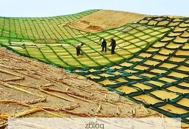 奈曼旗：沙地绿洲的零感染坚守与物理防线解析