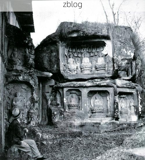 大足石刻下的静默：山城一隅的疫情地理学观察_66563