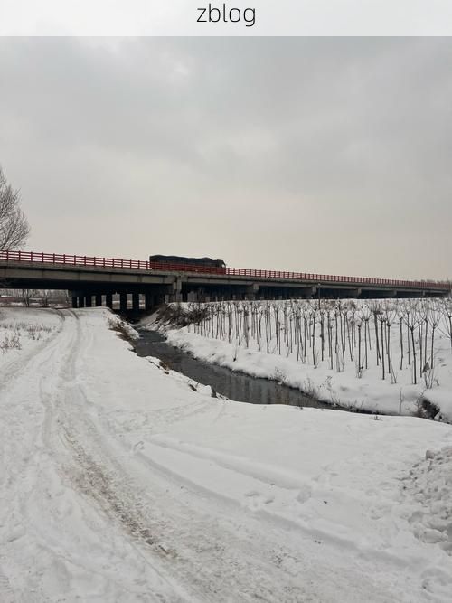 泊头市：华北交通枢纽下的疫情破防与围堵