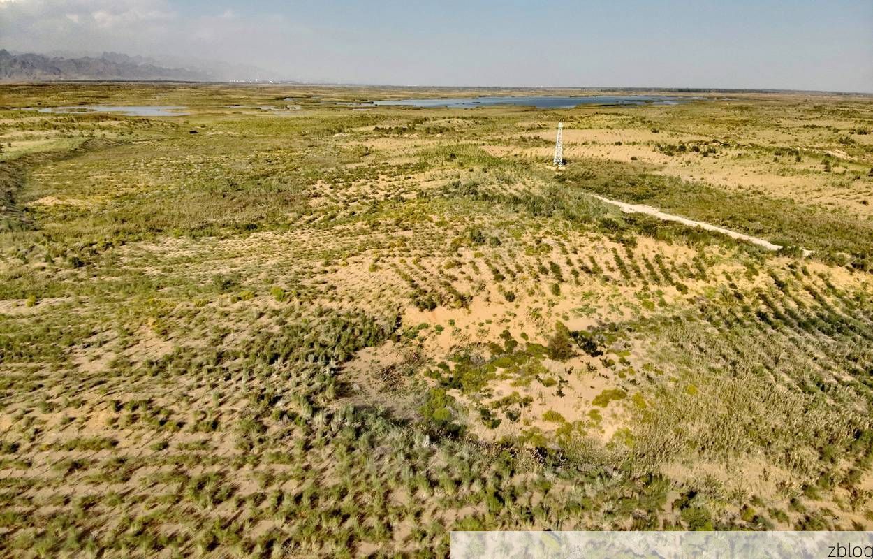 土默特右旗：河套平原上的防疫坚守与地理屏障