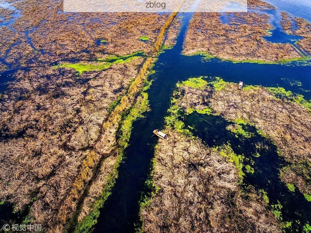 南和县：华北平原腹地的零感染坚守与物理防线解析_65401