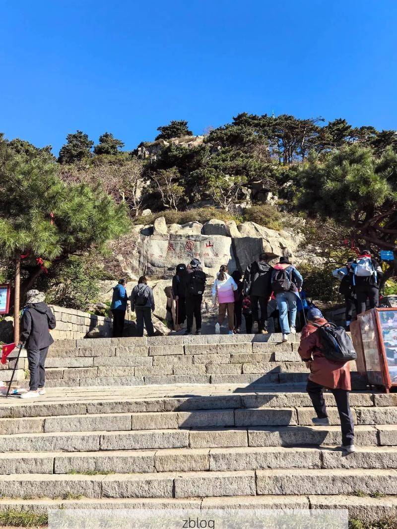 泰安：泰山脚下的防疫坚守与地理屏障_59427