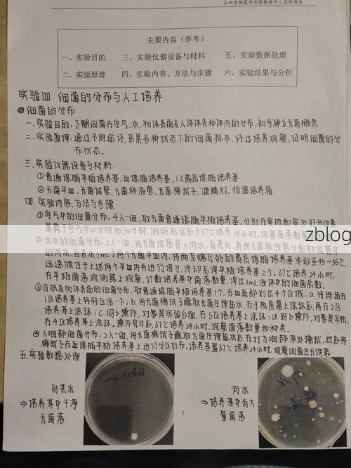 雪域高原的零感染样本：左贡县地理屏障下的防疫实践