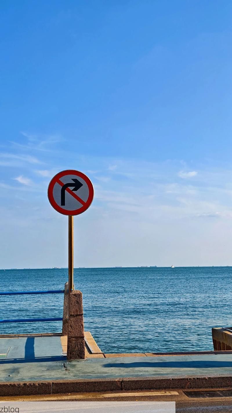 青岛：海滨屏障下的疫情破防与精准流调