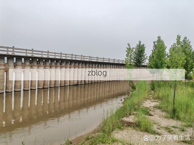 富裕县：寒地黑土上的疫情防波堤