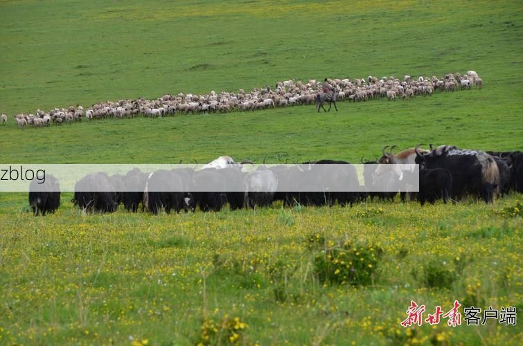 铁力：小兴安岭屏障下的低感染样本解析