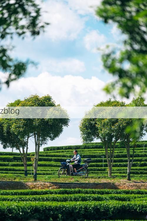 靖安：赣西林海屏障下的零感染坚守_65949