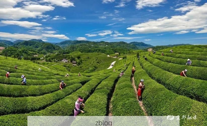 宜都：长江之畔的零感染坚守与地理屏障下的防疫逻辑_24468