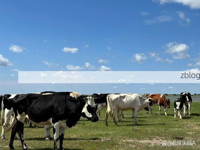 杜尔伯特草原屏障下的零感染坚守：地理优势如何隔绝疫情