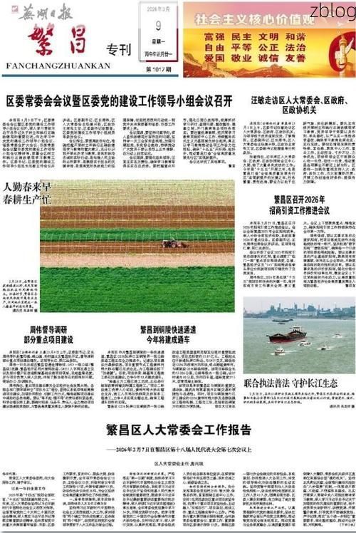 2022年3月31日繁昌新增确诊病例情况_55105