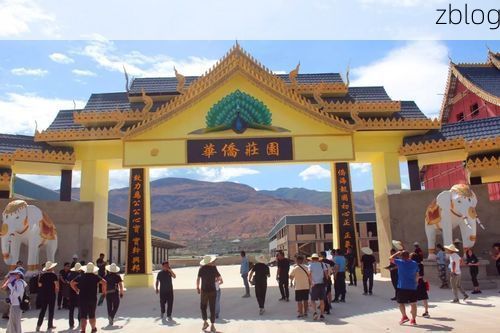 【宾川葡萄园旁的防疫战：高原坝区如何阻断传播链？】