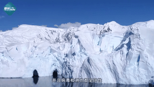 白玉：高原屏障下的零感染坚守与防控逻辑