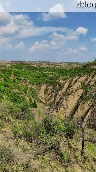 长武县：黄土高原沟壑区如何构筑疫情防线？_72137